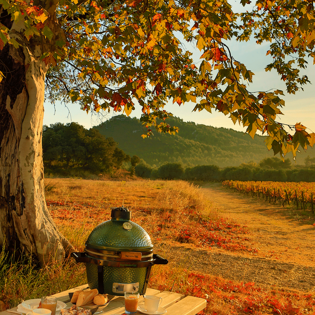 Big Green Egg - Image 3