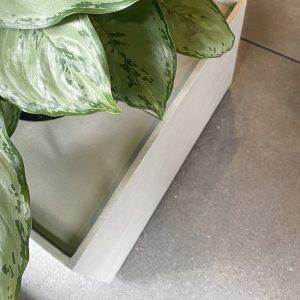 Planters